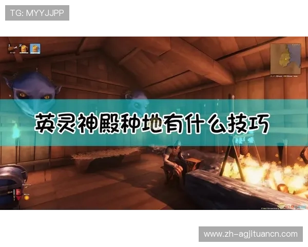 适合所有用户的神殿手机网址使用技巧与建议